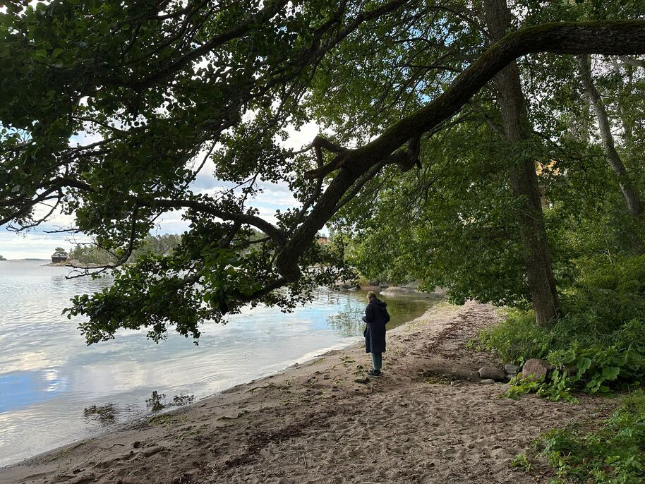 A person in a dark coat stands on a sandy shore under a large tree, looking at the calm water.