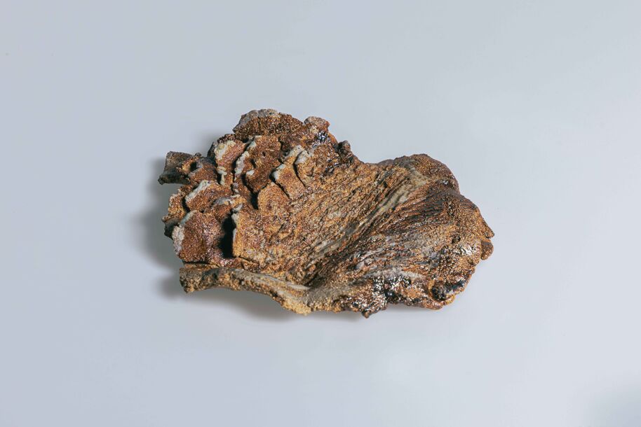 Irregular brown rock-like object with rough, cracked surface on a plain light grey background