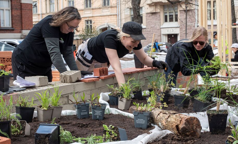 Ihmiset rakentamassa kaupunkipuutarhaa