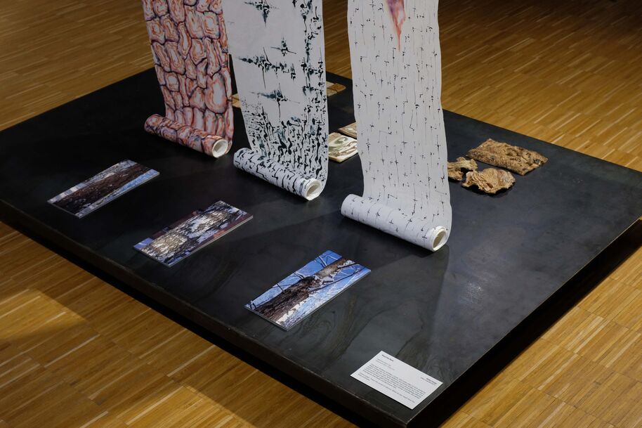 Art display of three patterned paper rolls and tree photos on a dark platform with wooden floor