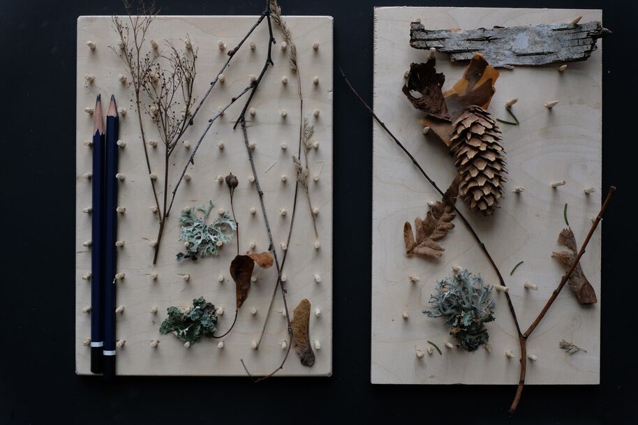 Two pale pegboards with twigs, leaves, lichen, pine cone and pencils arranged on a dark surface