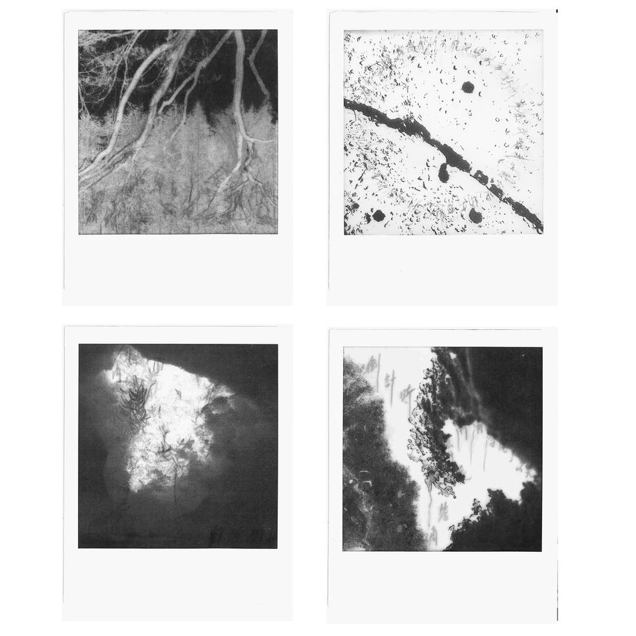 4 black and white polaroids of snowy forest