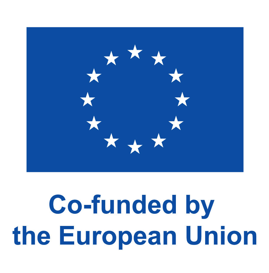 EU flag logo Co-funded by the European Union