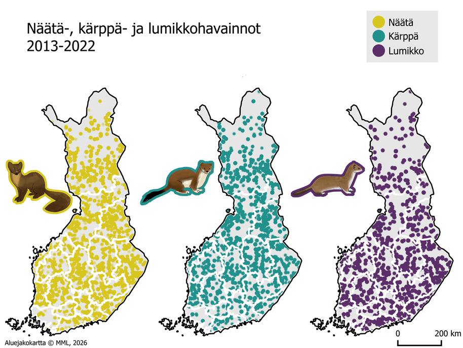 Kolme Suomen karttaa näyttävät näädän, kärpän ja lumikon havainnot pisteinä vuosilta 2013–2022.
