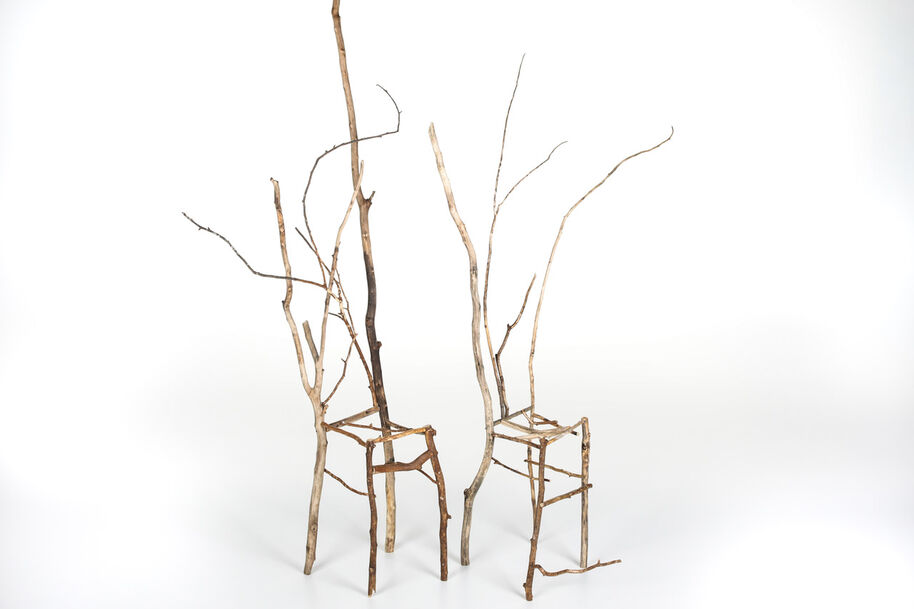 Two tall, thin chairs made of brown tree branches, with long bare twigs rising above white background