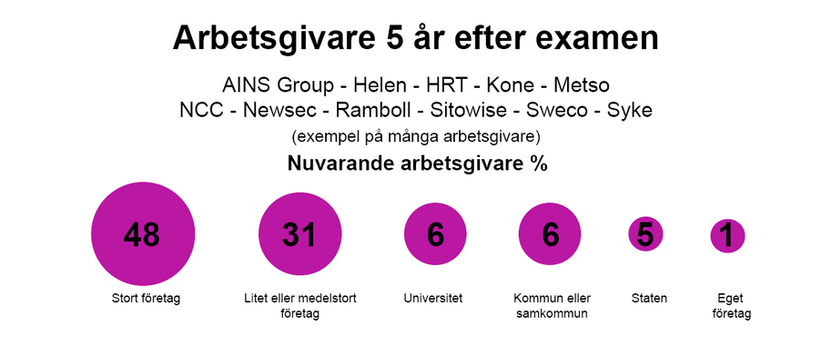 Rosa cirklar visar arbetsgivare 5 år efter examen: 48 % stort företag, 31 % litet/medelstort, resterande andra.