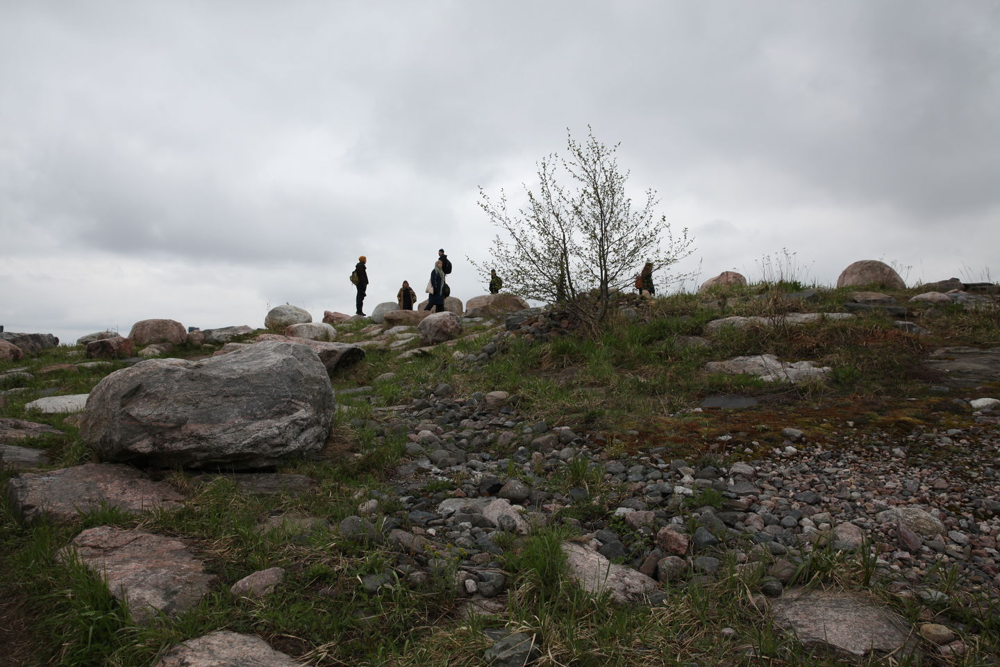 Art, ecology and ethics. Photo: Anniina Suominen.