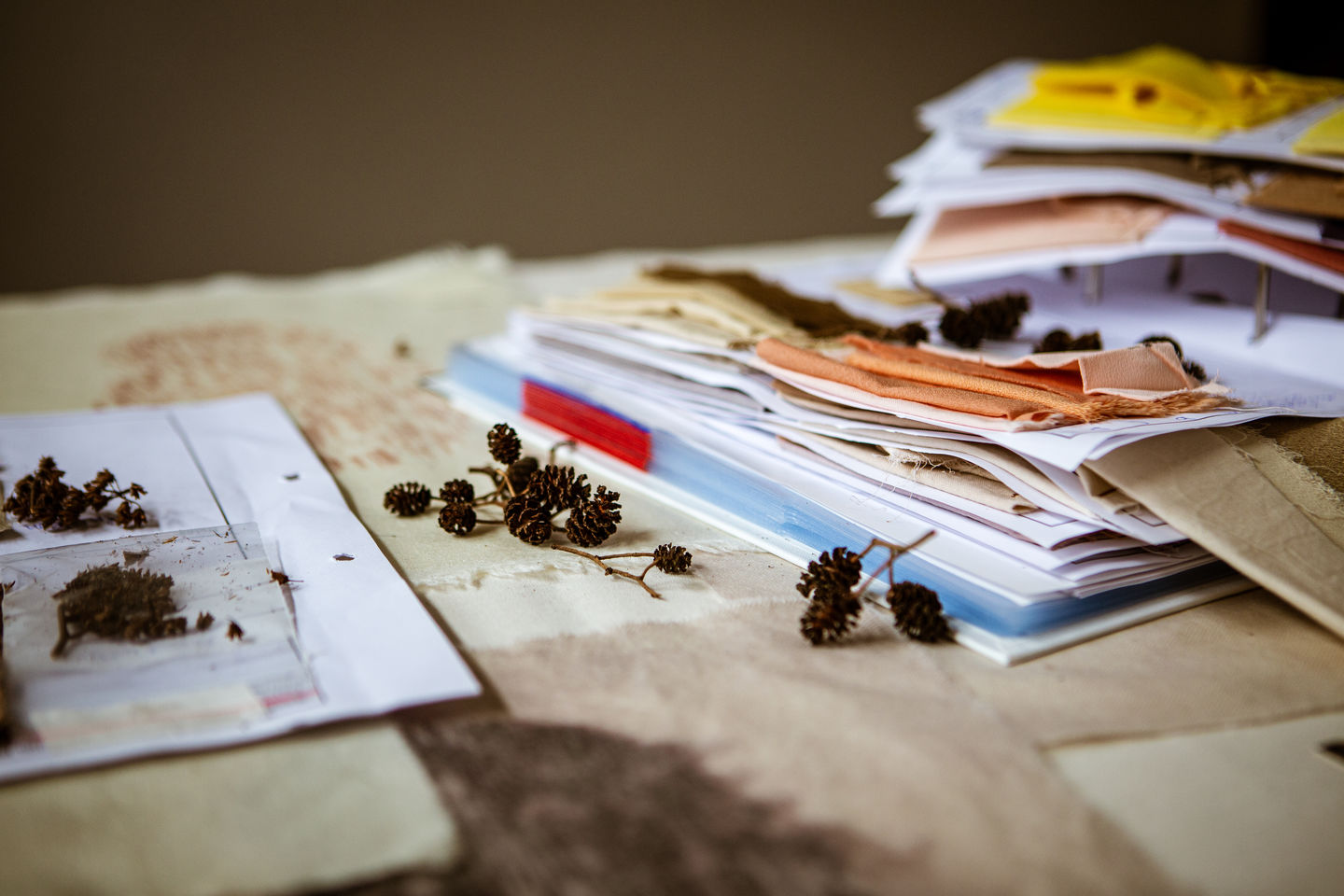 Materials for natural dyes and costume effects 