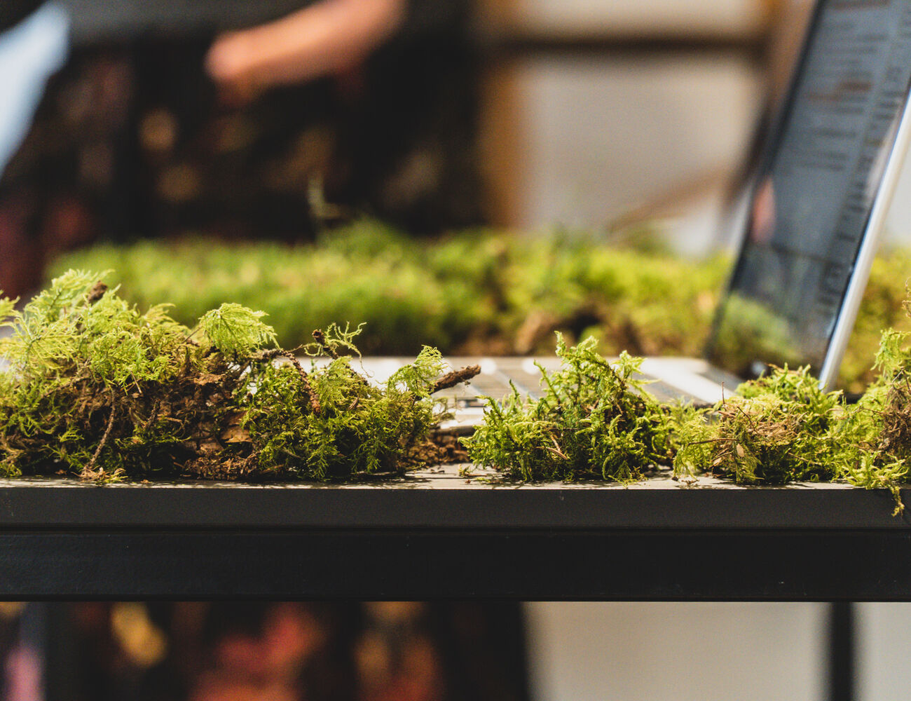Green moss is placed around a macbook as part of an exhibition display