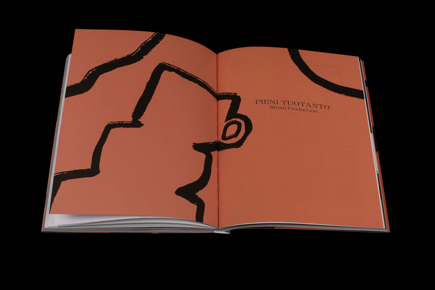 Aalto Arts Books Icma-palkinto Kantava maa