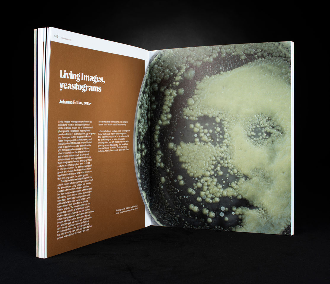 Art as We Don´t Know It aukeama teos