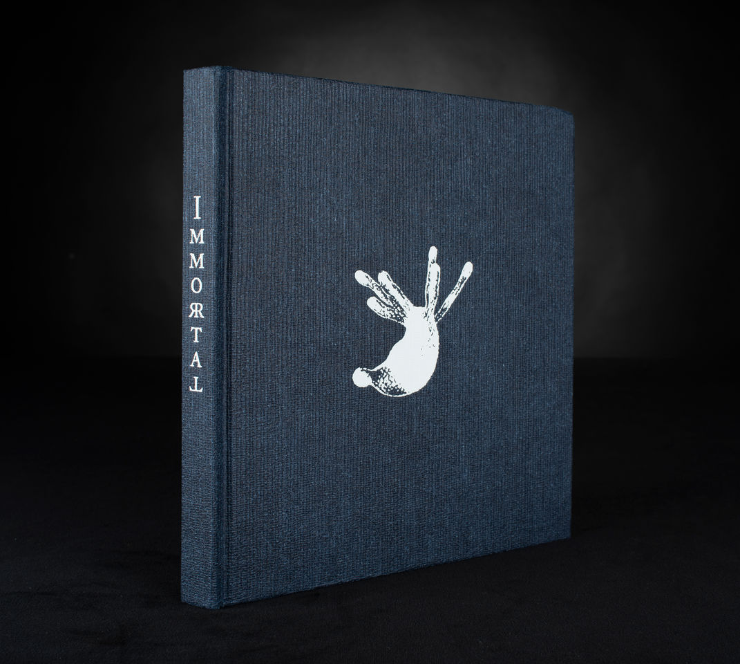 Immortal kansi