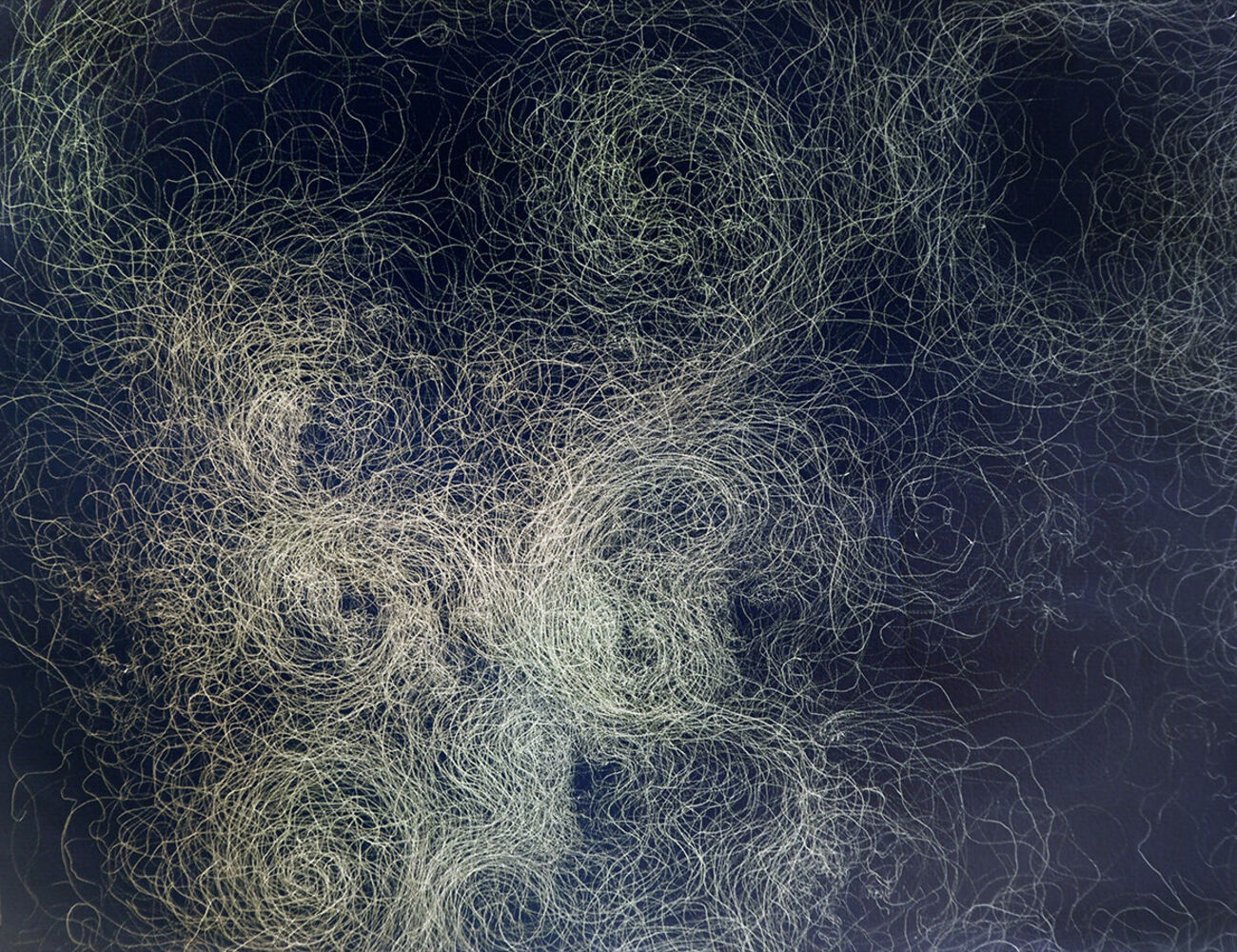An image of fine lines drawn by the artist Mira Caselius. The lines are light on a dark background, some are concentrated, others are spread sparsely.