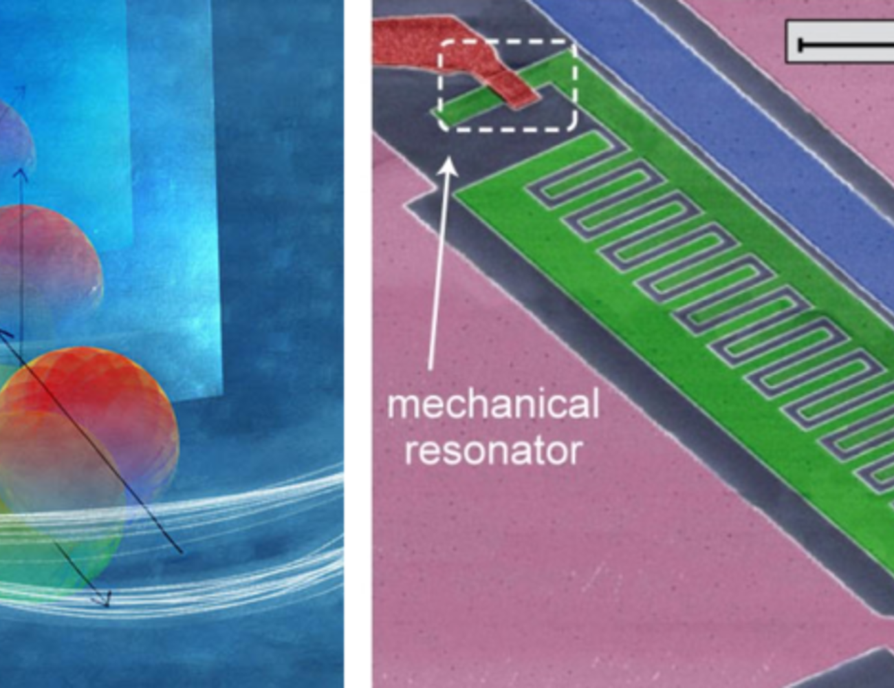 transmon qubit and bridge resonator.