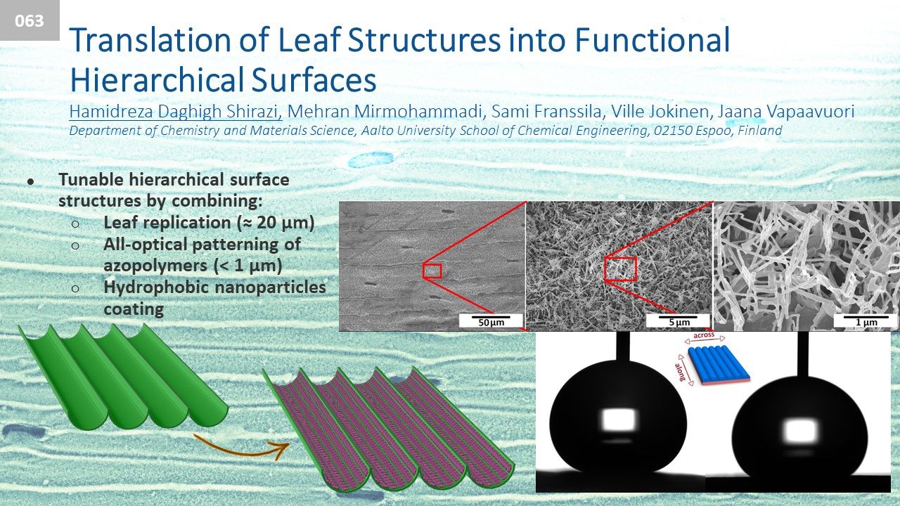 CHEM Research Day pitching slide (Hamidreza Daghigh Shirazi) 2021.jpg