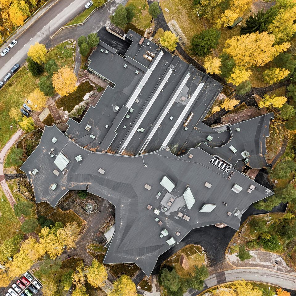 Dipoli from above in the autumn, trees with yellow leaves surround Dipoli on a sunny day