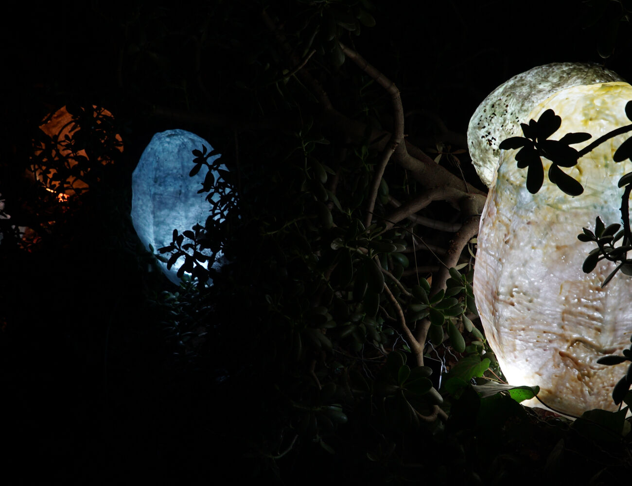 Photograph with mostly black background and glowing organic shapes in different colours