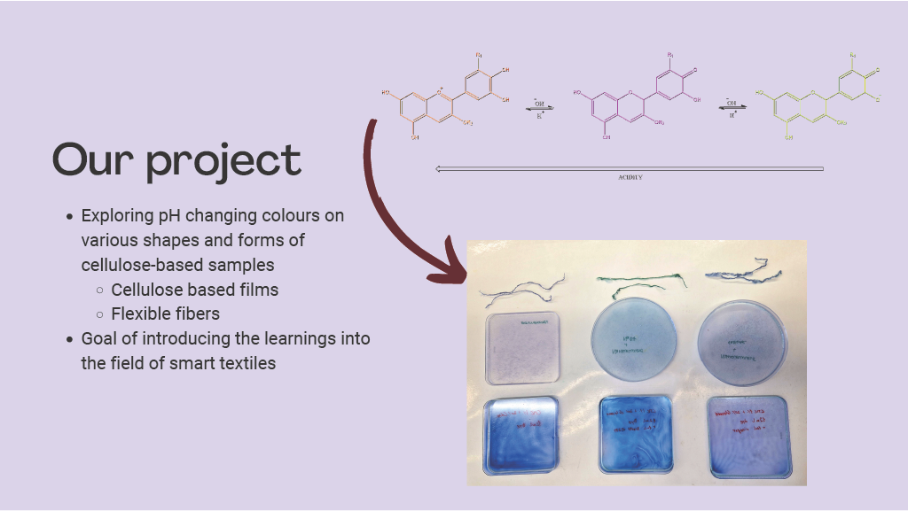50 shades of red cabbage, CHEMARTS 2022. Image by Aalto University, Sofia Guridi, Matteo Iannacchero, Patricia Ciobanu