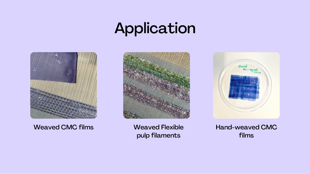 50 shades of red cabbage, CHEMARTS 2022. Image by Aalto University, Sofia Guridi, Matteo Iannacchero, Patricia Ciobanu