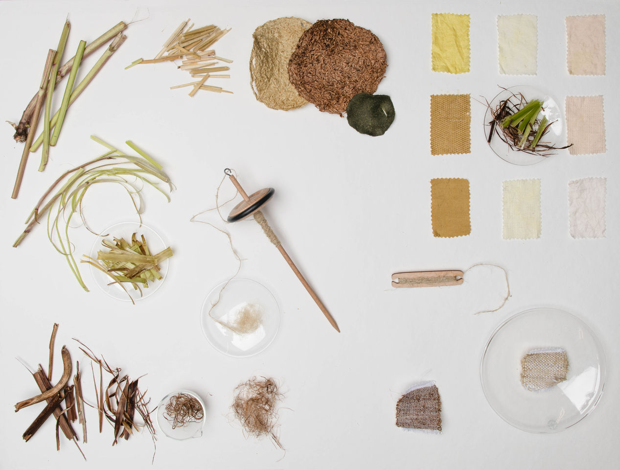 Lupine project, CHEMARTS 2022. Photo by Aalto University, Rainer Paananen