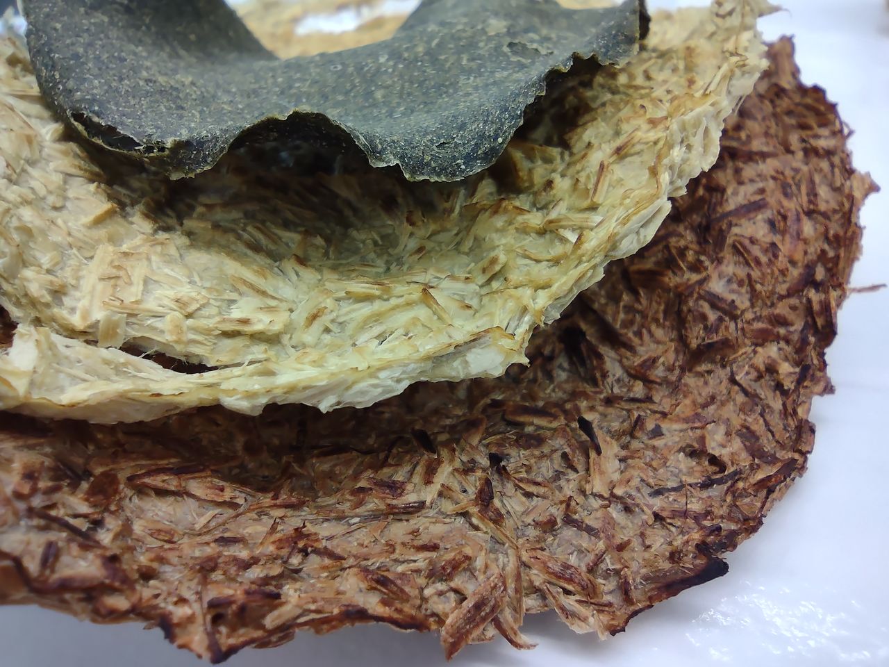 Lupine project, CHEMARTS 2022, sub-products. Photo by Aalto University, Maija Vaara