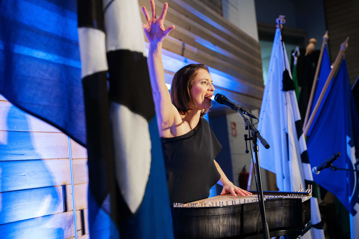 Dinner music by Ida Elina