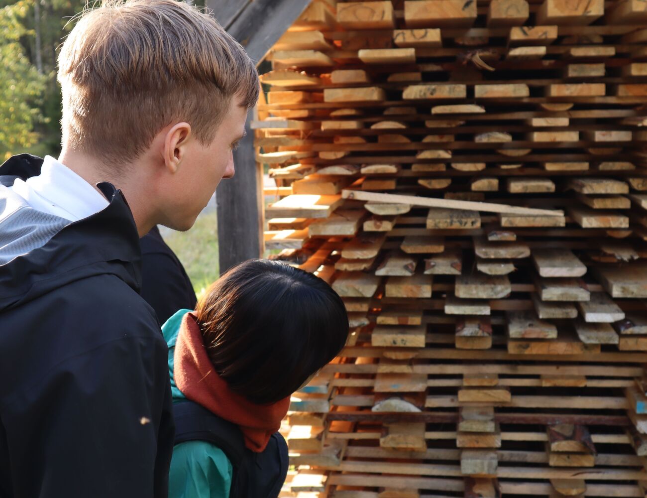Two members are seeing timbers under drying