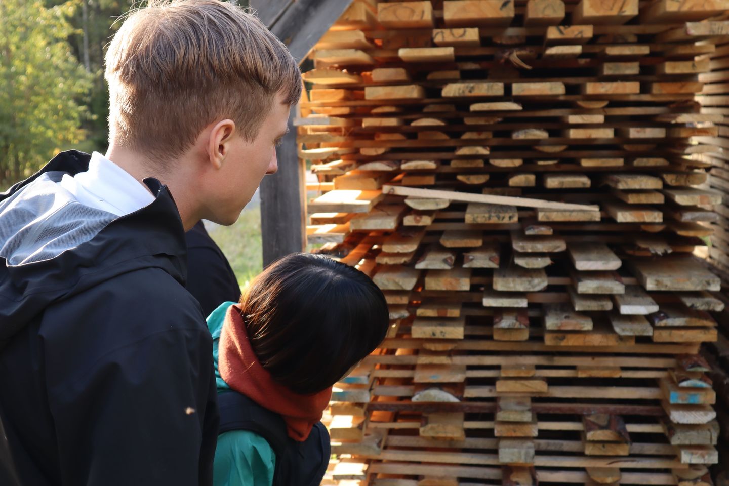 Two members are seeing timbers under drying