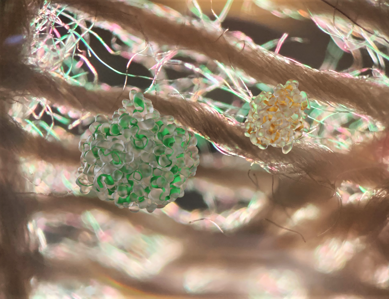 Illustration of two different enzymes hydrolyzing fibers in textile
