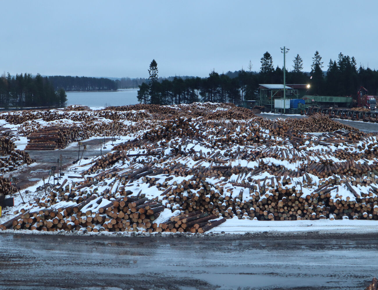 Logs in the yard of Kuhmo Oy
