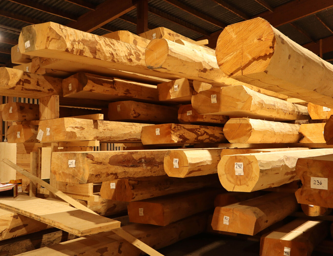 A pile of thick logs in the storage warehouse of Luottopuu