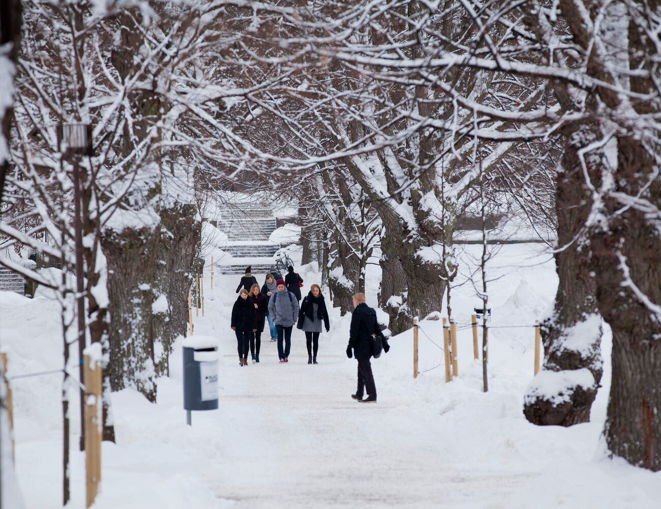 Winter scenery from Otaniemi campus