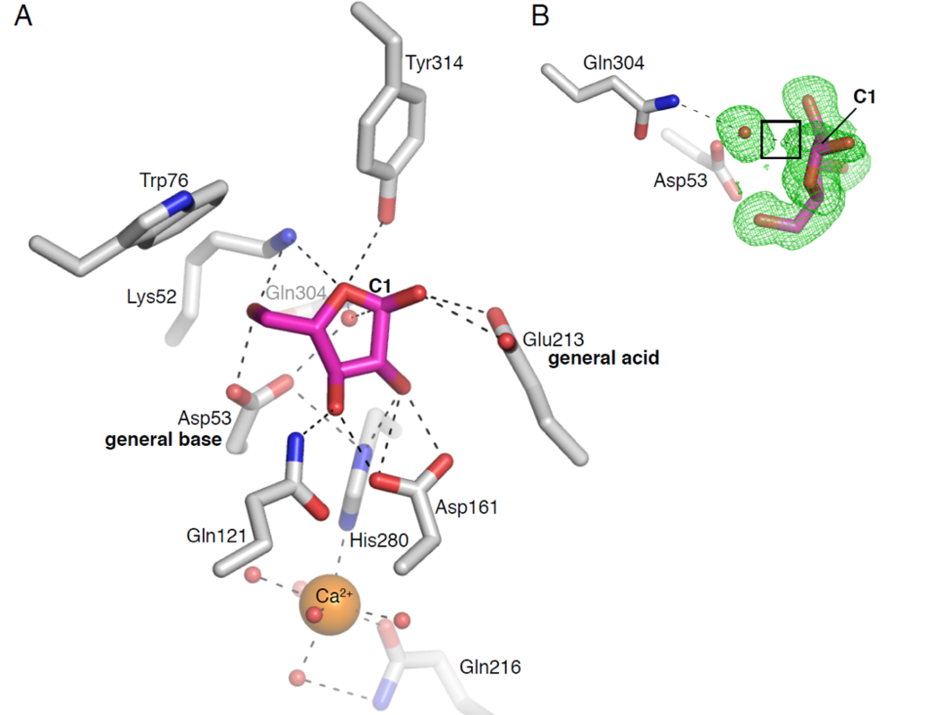 CHEM/BIO/Protein technology group_enzyme research 1