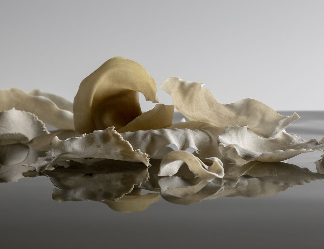 Tiina Otala's Chemarts2023 work on Wheat Straws. Photo Esa Kapila