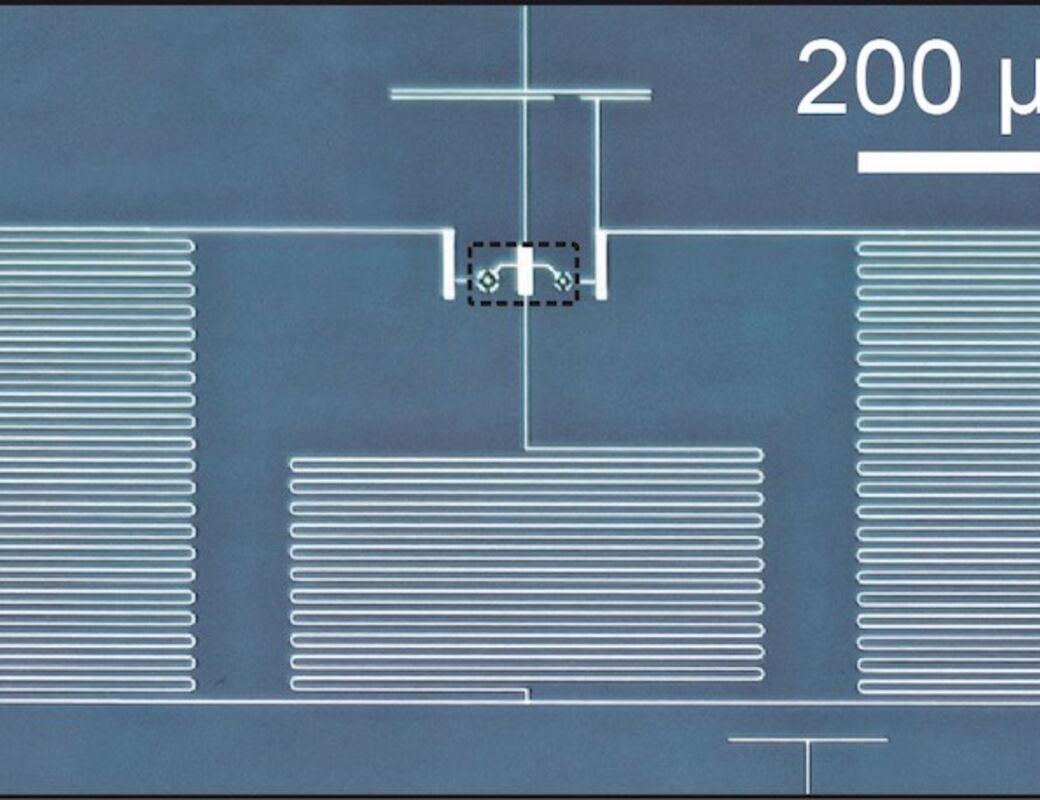 Two drum oscillators and two cavities