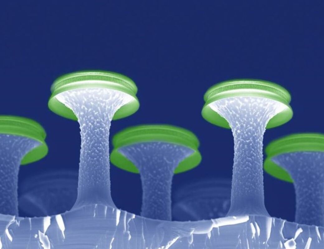 CHEM_Microfabrication group_Serif-T mushrooms