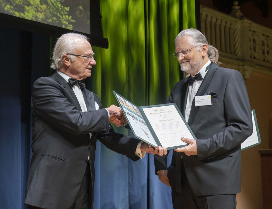 The King presents the award