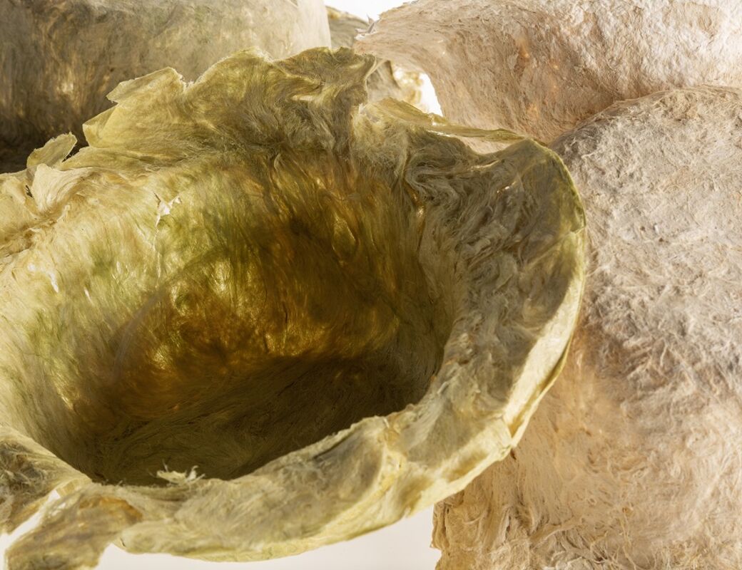 Nina Riutta's algae artwork. Photo: Esa Kapila