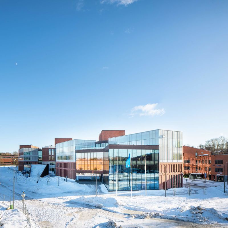 The School of Business