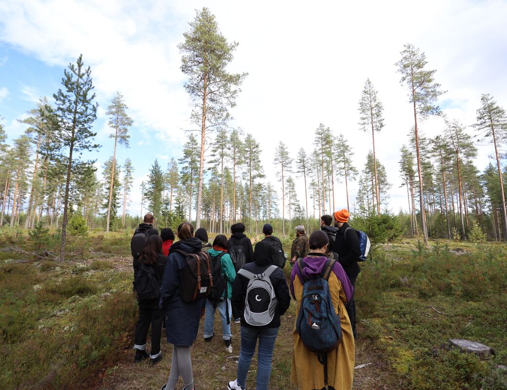 Walking in the forest