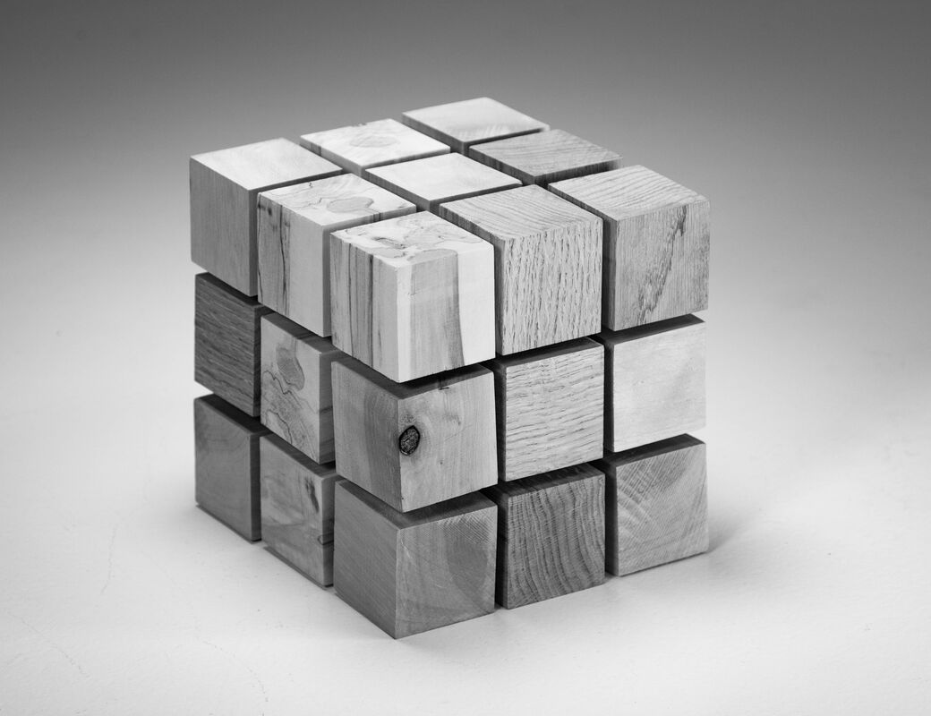 cube consisting of 3 by 3 by 3 smaller cubes of different species