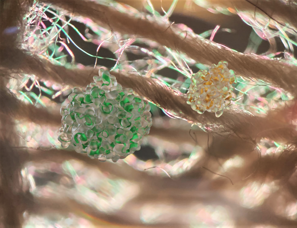 Illustration of two different enzymes hydrolyzing fibers in textile