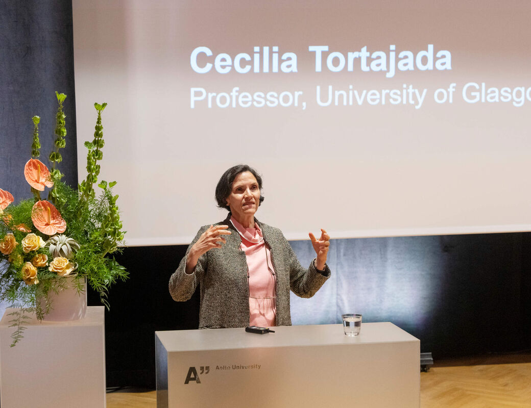 Cecilia Tortajada's talk
