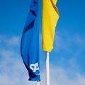 Aalto flags in Ukraine colours