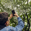A student capturing a web in a tree with his phone camera.