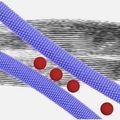 Zipper-like assembly of nanocomposite leads to superlattice wires that are characterized by a well-defined periodic internal structure. Image Dr. Nonappa and Ville Liljeström.