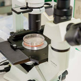 koronavirusasiantuntijoita toimittajia varten