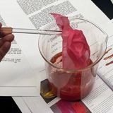 Testing 16th century dye recipes. Photo: Refashioning the Renaissance project, 2019
