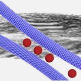 Zipper-like assembly of nanocomposite leads to superlattice wires that are characterized by a well-defined periodic internal structure. Image Dr. Nonappa and Ville Liljeström.