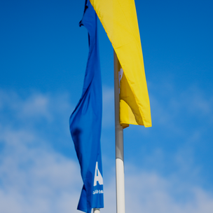 Blue and yellow flags